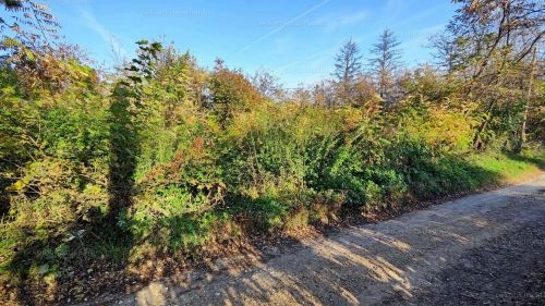 Eladó belterületi telek